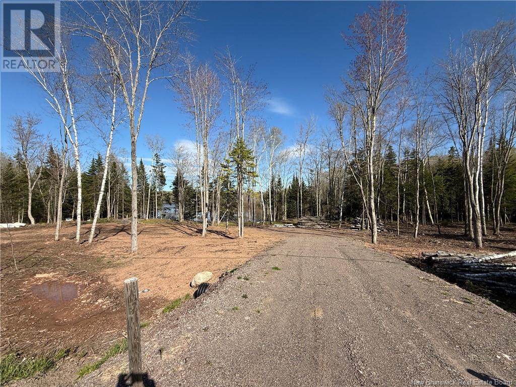 Lot 04-3 Route 690, Flowers Cove, New Brunswick  E4B 2E6 - Photo 26 - NB112804