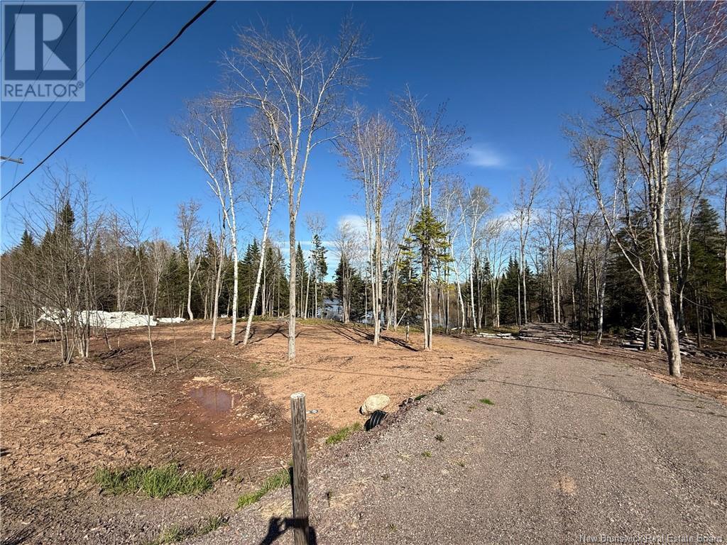 Lot 04-3 Route 690, Flowers Cove, New Brunswick  E4B 2E6 - Photo 27 - NB112804