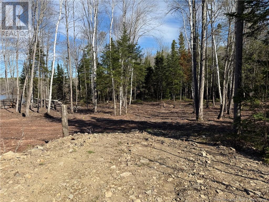 Lot 04-2 Route 690, Flowers Cove, New Brunswick  E4B 2E6 - Photo 14 - NB112803