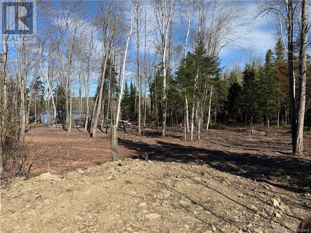 Lot 04-2 Route 690, Flowers Cove, New Brunswick  E4B 2E6 - Photo 15 - NB112803