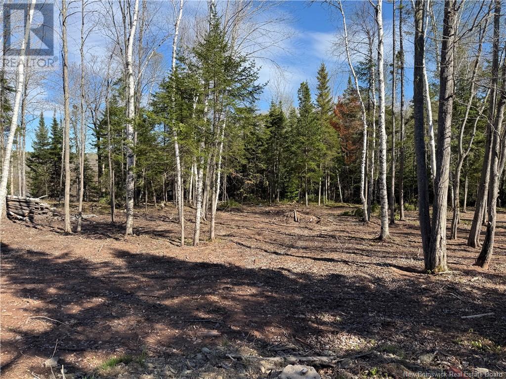 Lot 04-2 Route 690, Flowers Cove, New Brunswick  E4B 2E6 - Photo 17 - NB112803