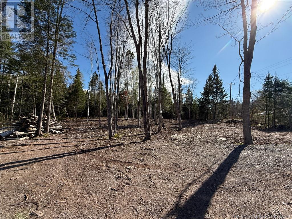 Lot 04-2 Route 690, Flowers Cove, New Brunswick  E4B 2E6 - Photo 19 - NB112803