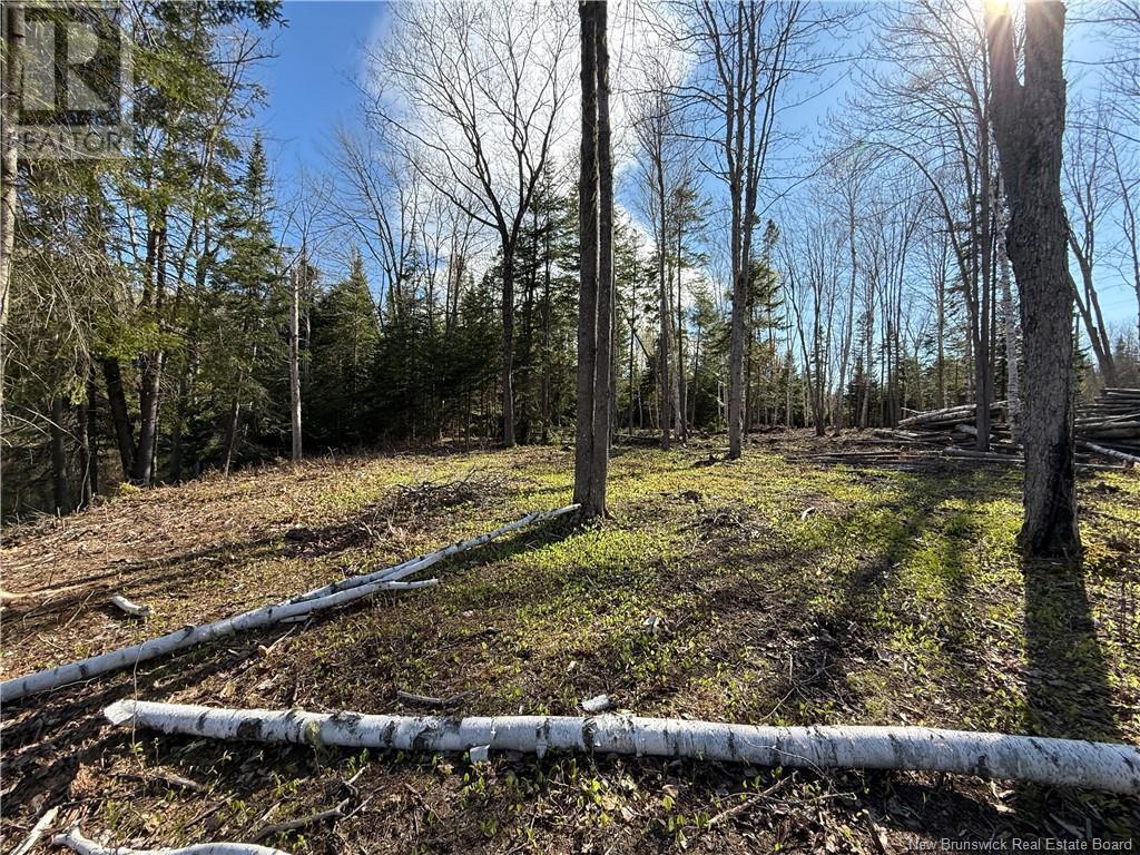 Lot 04-2 Route 690, Flowers Cove, New Brunswick  E4B 2E6 - Photo 20 - NB112803