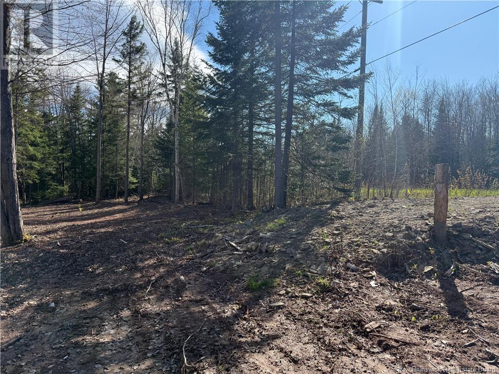 Lot 04-2 Route 690, Flowers Cove, New Brunswick  E4B 2E6 - Photo 21 - NB112803