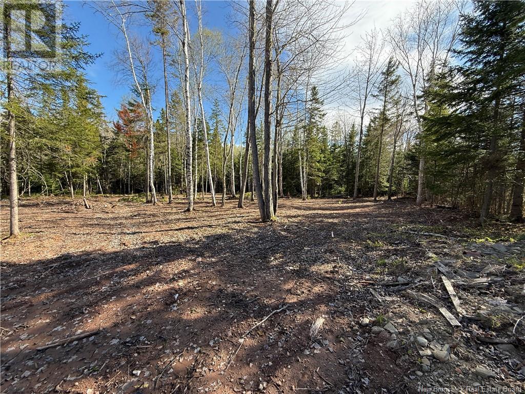 Lot 04-2 Route 690, Flowers Cove, New Brunswick  E4B 2E6 - Photo 22 - NB112803