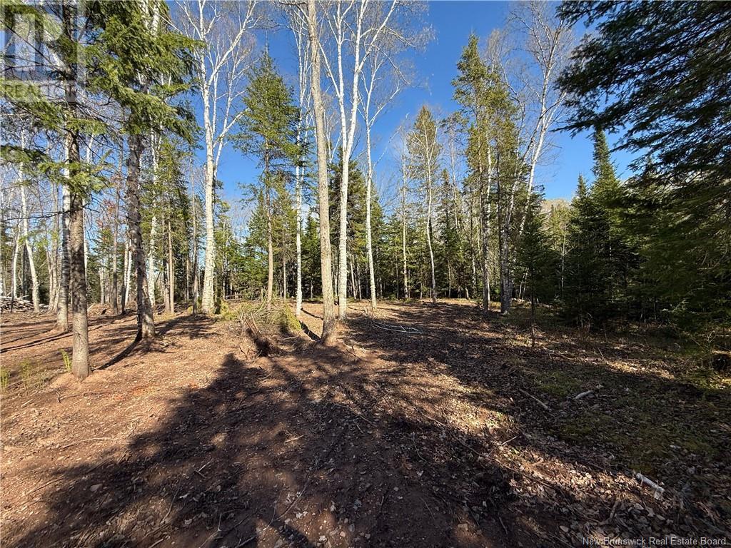 Lot 04-2 Route 690, Flowers Cove, New Brunswick  E4B 2E6 - Photo 23 - NB112803