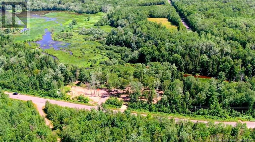 Lot 04-2 Route 690, Flowers Cove, New Brunswick  E4B 2E6 - Photo 8 - NB112803