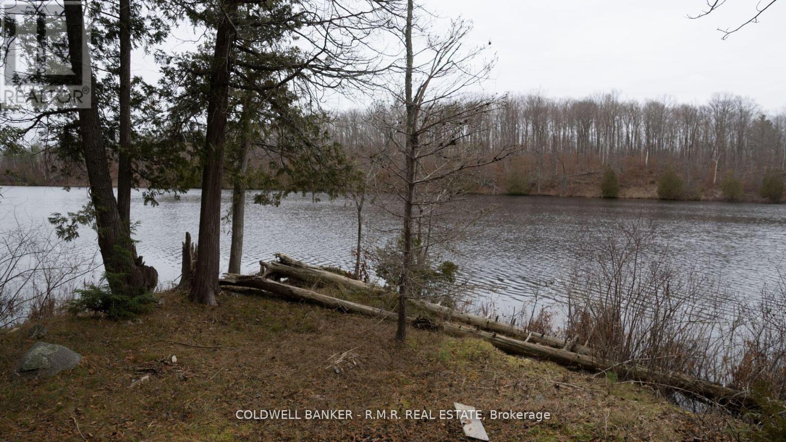8860 County Rd 41, Addington Highlands, Ontario  K0H 1Z0 - Photo 10 - X11979025