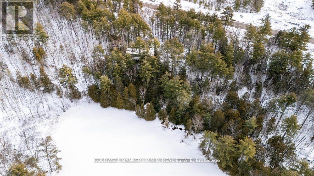 8860 County Rd 41, Addington Highlands, Ontario  K0H 1Z0 - Photo 15 - X11979025