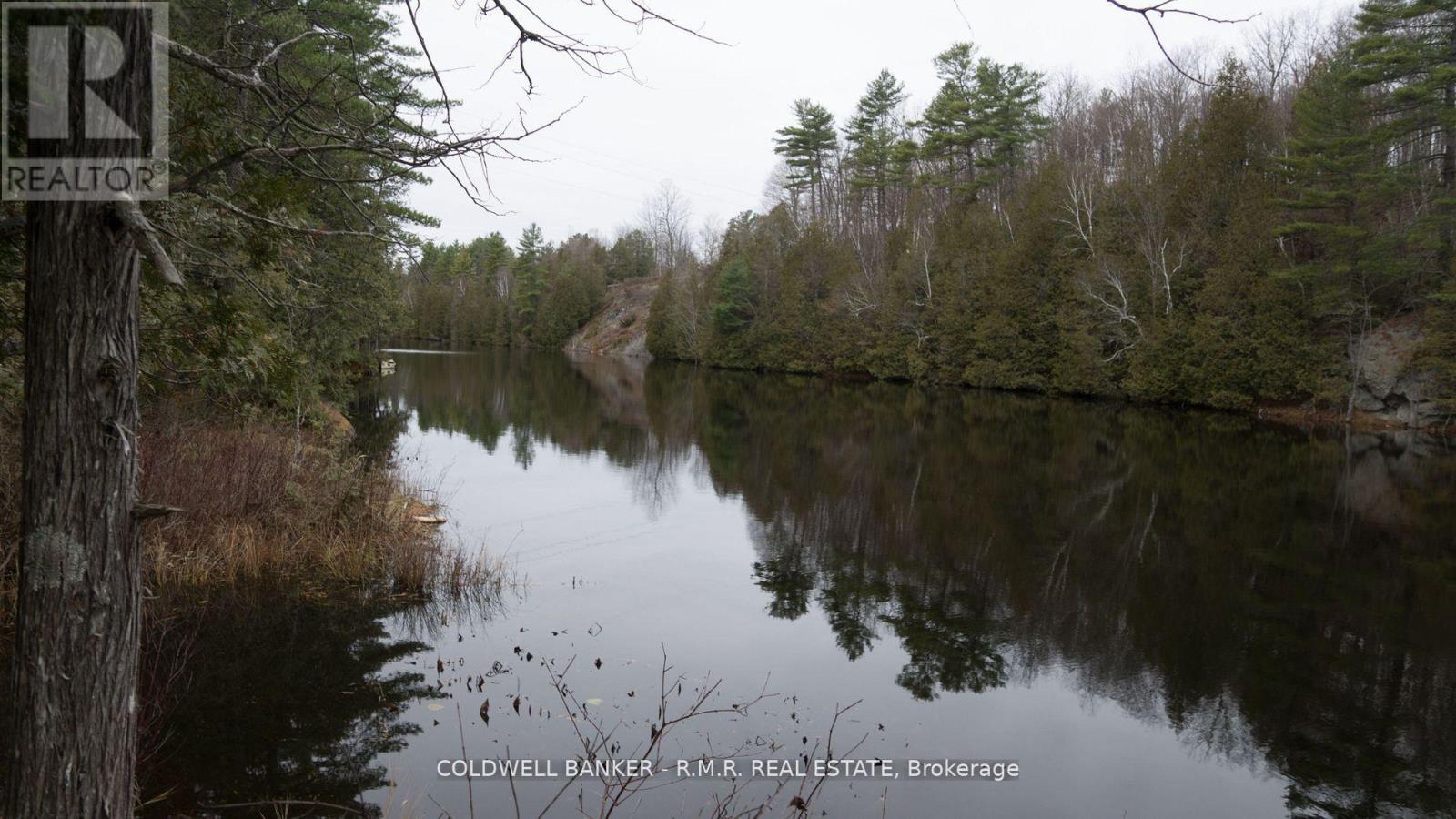 8860 County Rd 41, Addington Highlands, Ontario  K0H 1Z0 - Photo 18 - X11979025