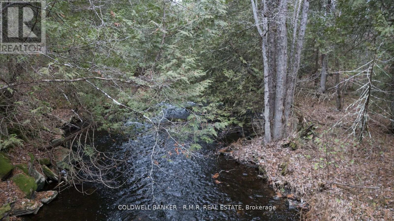 8860 County Rd 41, Addington Highlands, Ontario  K0H 1Z0 - Photo 23 - X11979025