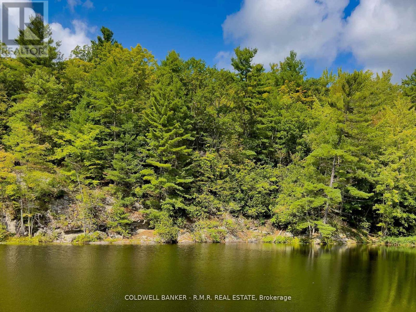 8860 County Rd 41, Addington Highlands, Ontario  K0H 1Z0 - Photo 6 - X11979025