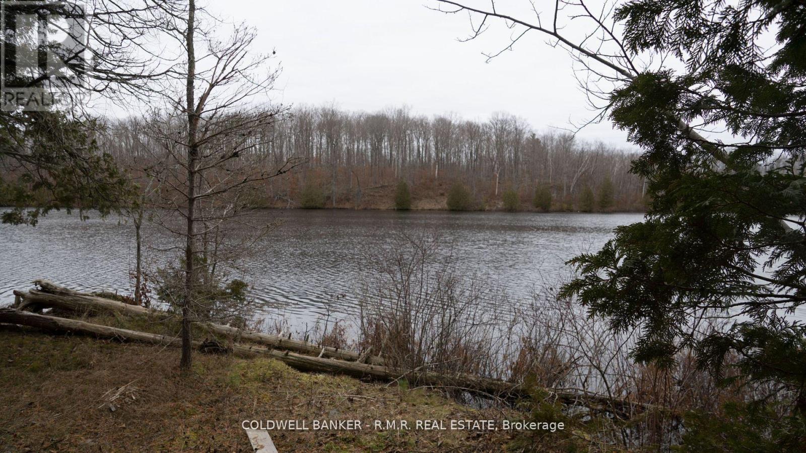 8860 County Rd 41, Addington Highlands, Ontario  K0H 1Z0 - Photo 9 - X11979025
