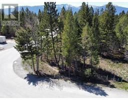 Lot 48 COPPER POINT Way, windermere, British Columbia