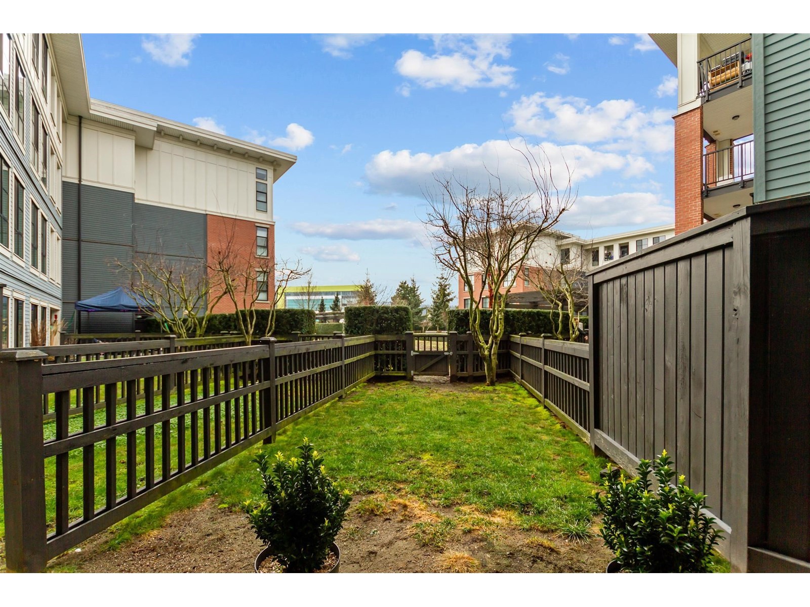 132 15168 33 Avenue, Surrey, British Columbia  V3Z 0N7 - Photo 21 - R2968412