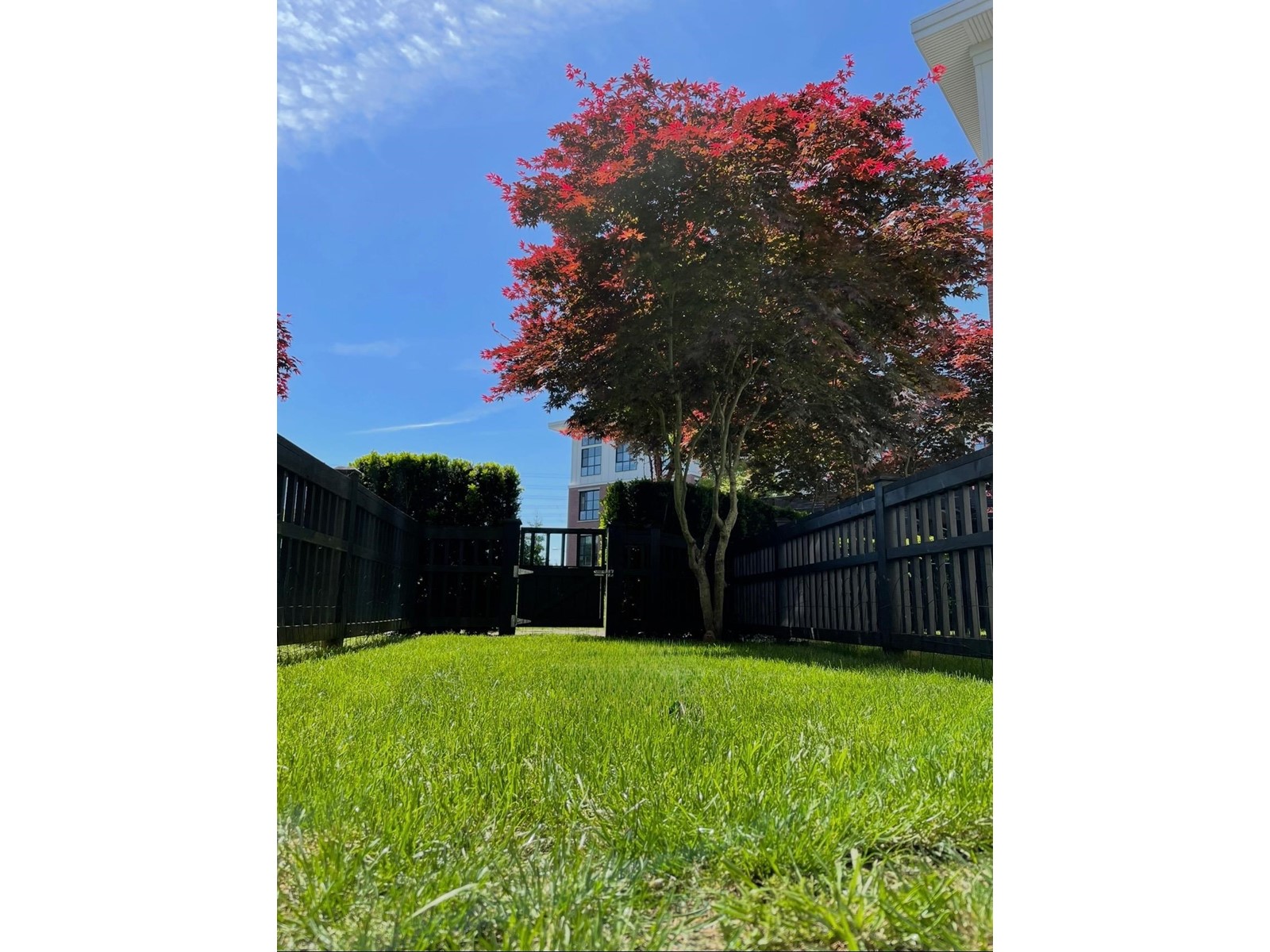 Property at 132 15168 33 AVENUE image 3