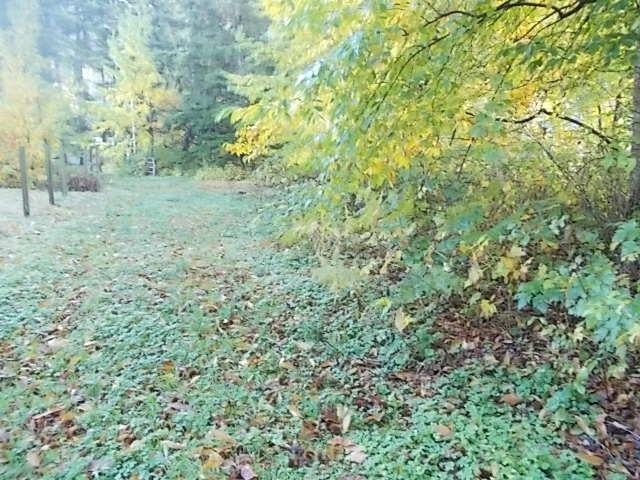 12005 Hodgkin Road, Mission, British Columbia  V0M 1N0 - Photo 6 - R2957303