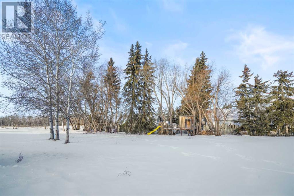 20 Taylor Street, Tees, Alberta  T0C 2N0 - Photo 40 - A2193336