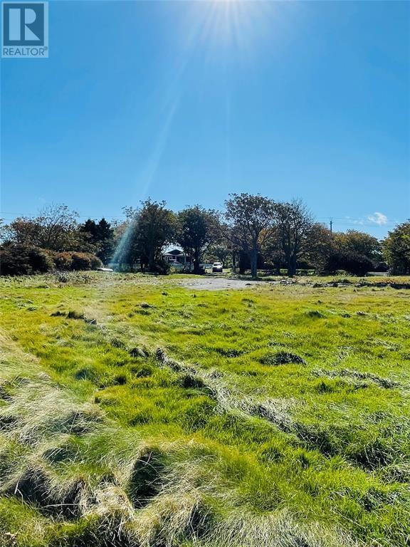 2370 Topsail Road Conception Bay South Newfoundland & Labrador Canada A1W3Y0 for Sale residential Haris Barki Keller Williams Platinum Realty 2370 Topsail Road Conception Bay South Newfoundland & Labrador Canada A1W3Y0, for Sale, residential, Haris Barki, Keller Williams Platinum Realty