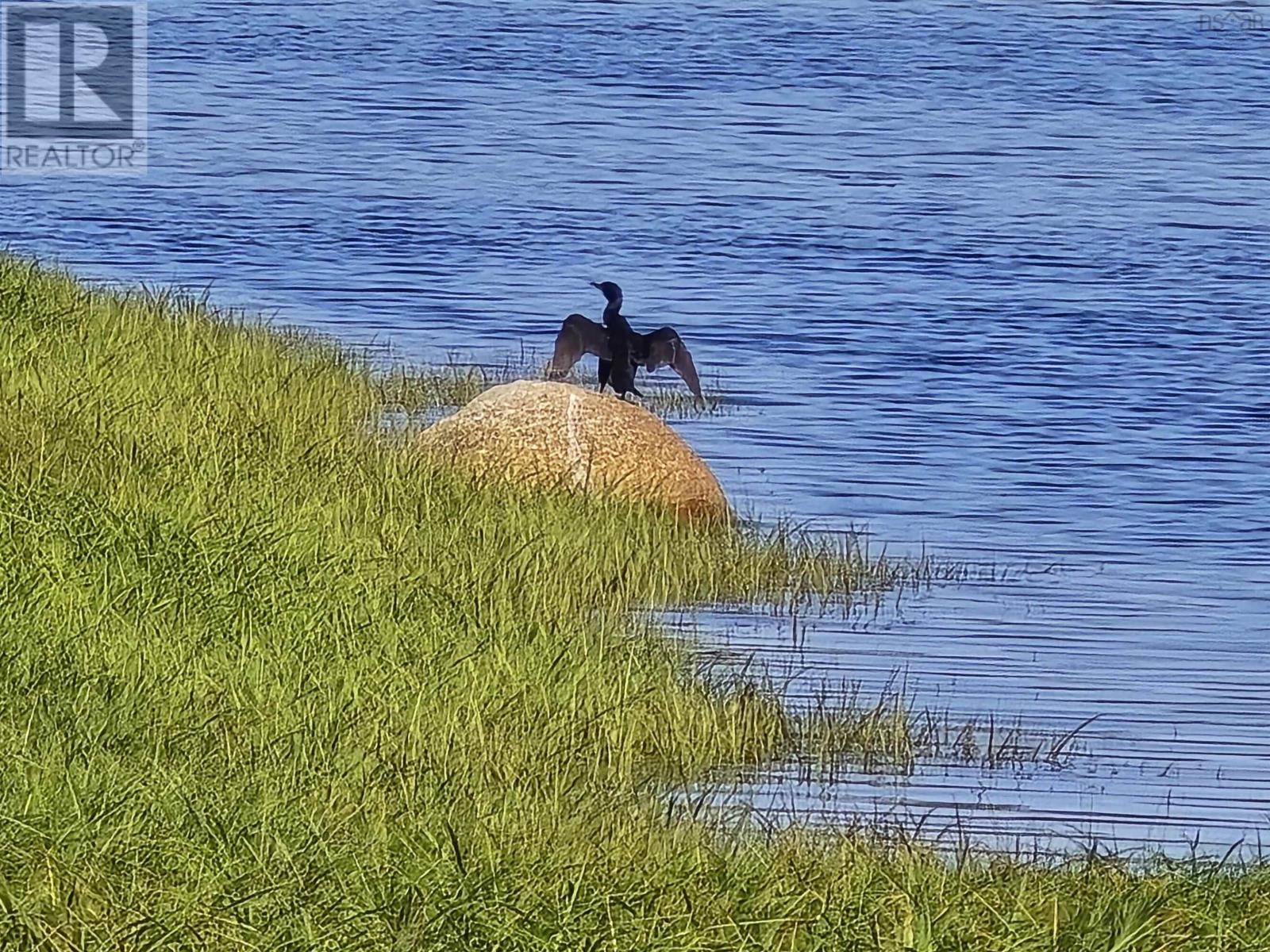5 Green Bay Road, Petite Rivière, Nova Scotia  B4V 5Z2 - Photo 37 - 202503246
