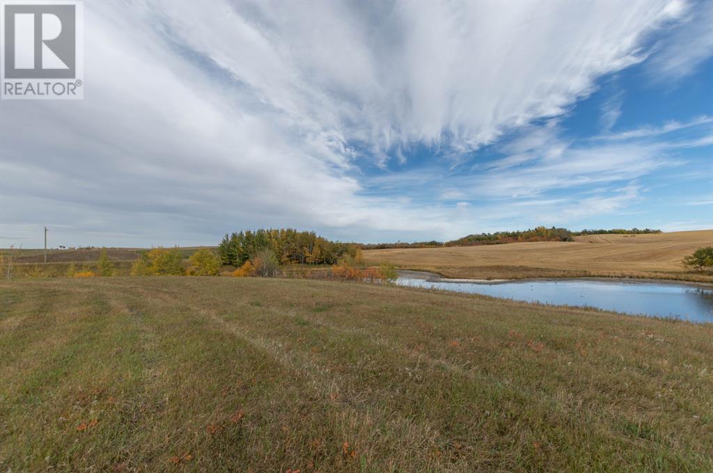 On Twp 41-2, Rural Stettler No. 6, Alberta  T0C 2L0 - Photo 6 - A2037804