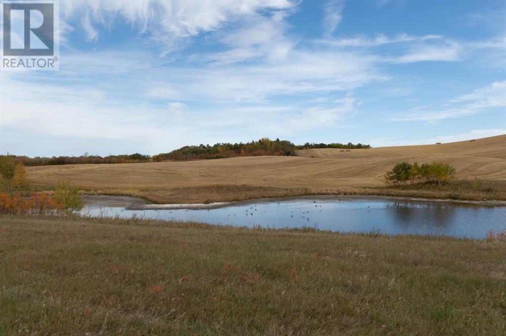On Twp 41-2, Rural Stettler No. 6, Alberta  T0C 2L0 - Photo 4 - A2037804