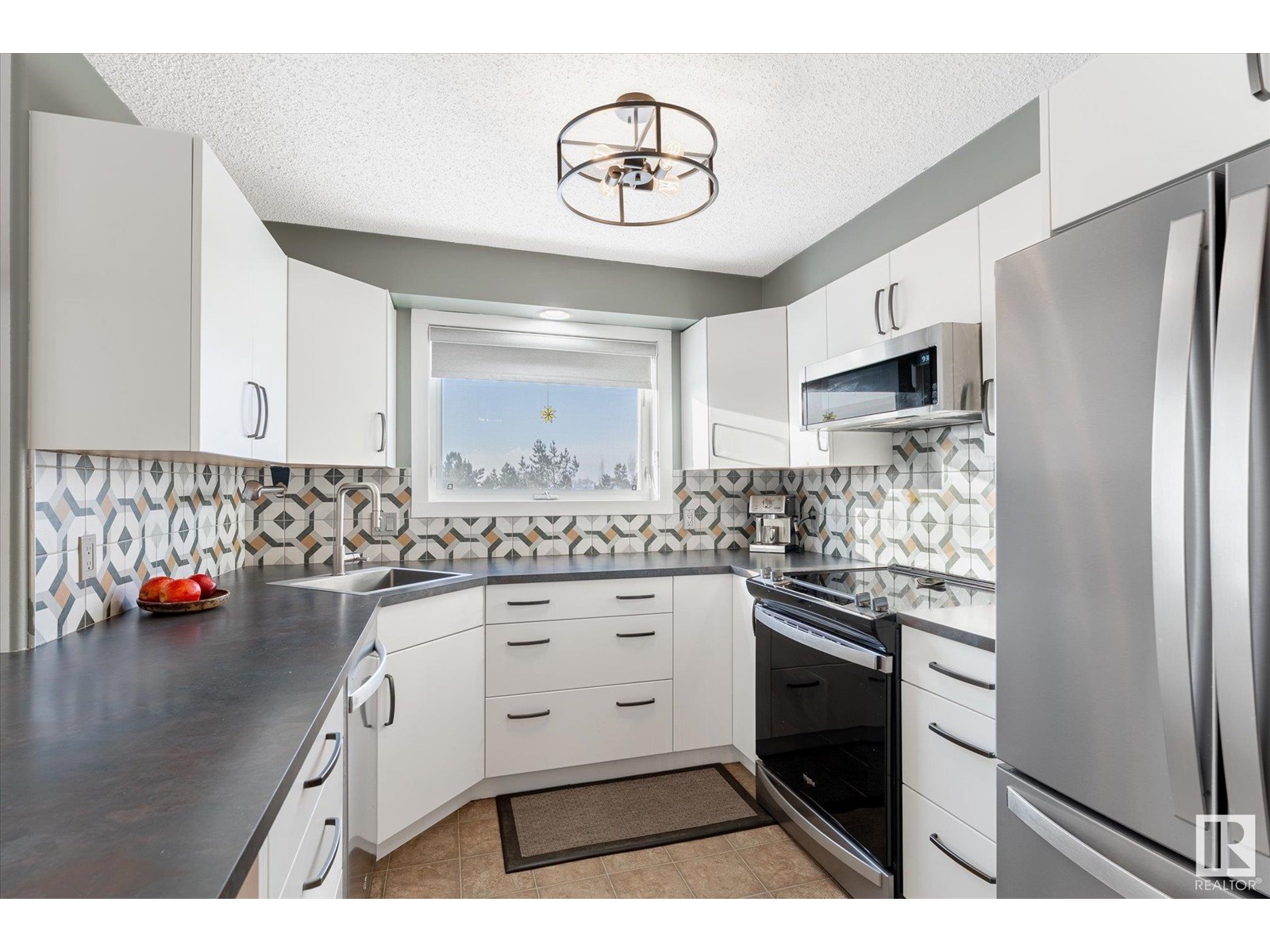 Property at #314 13625 34 ST NW image 5