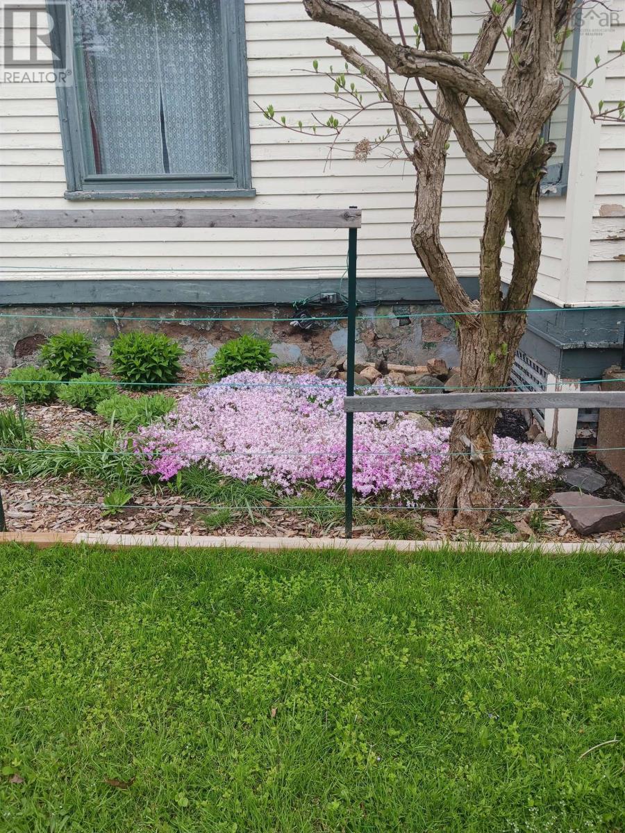 7 Alice Street, Truro, Nova Scotia  B2N 2M4 - Photo 2 - 202503274