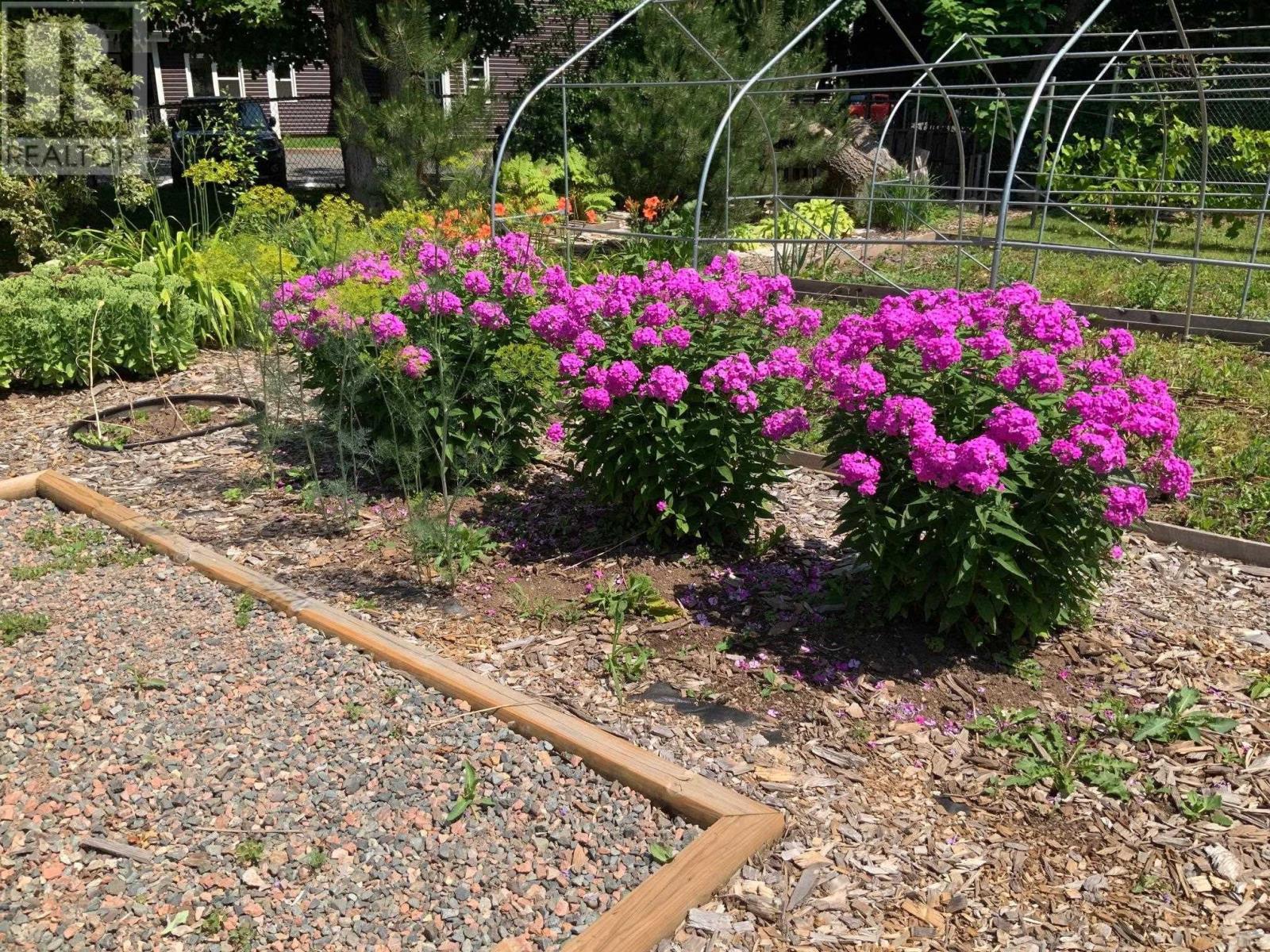 7 Alice Street, Truro, Nova Scotia  B2N 2M4 - Photo 3 - 202503274