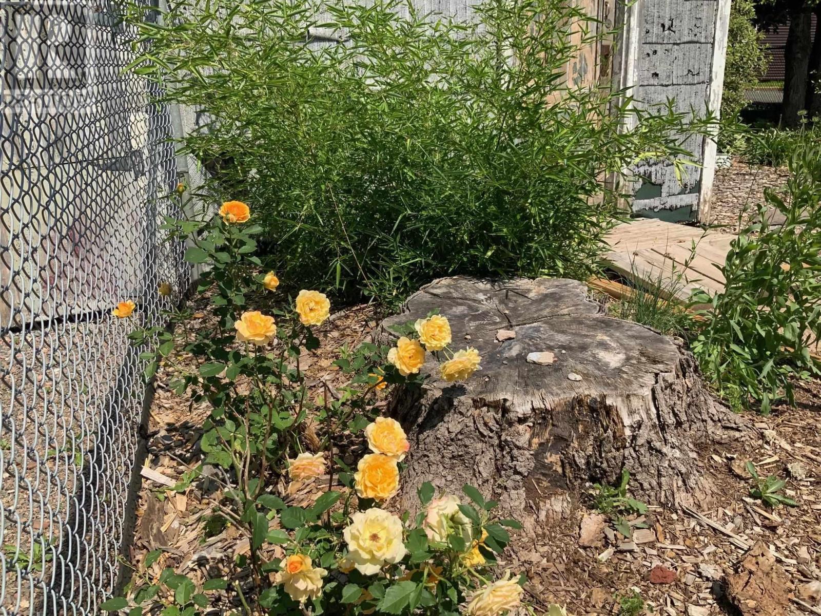 7 Alice Street, Truro, Nova Scotia  B2N 2M4 - Photo 49 - 202503274