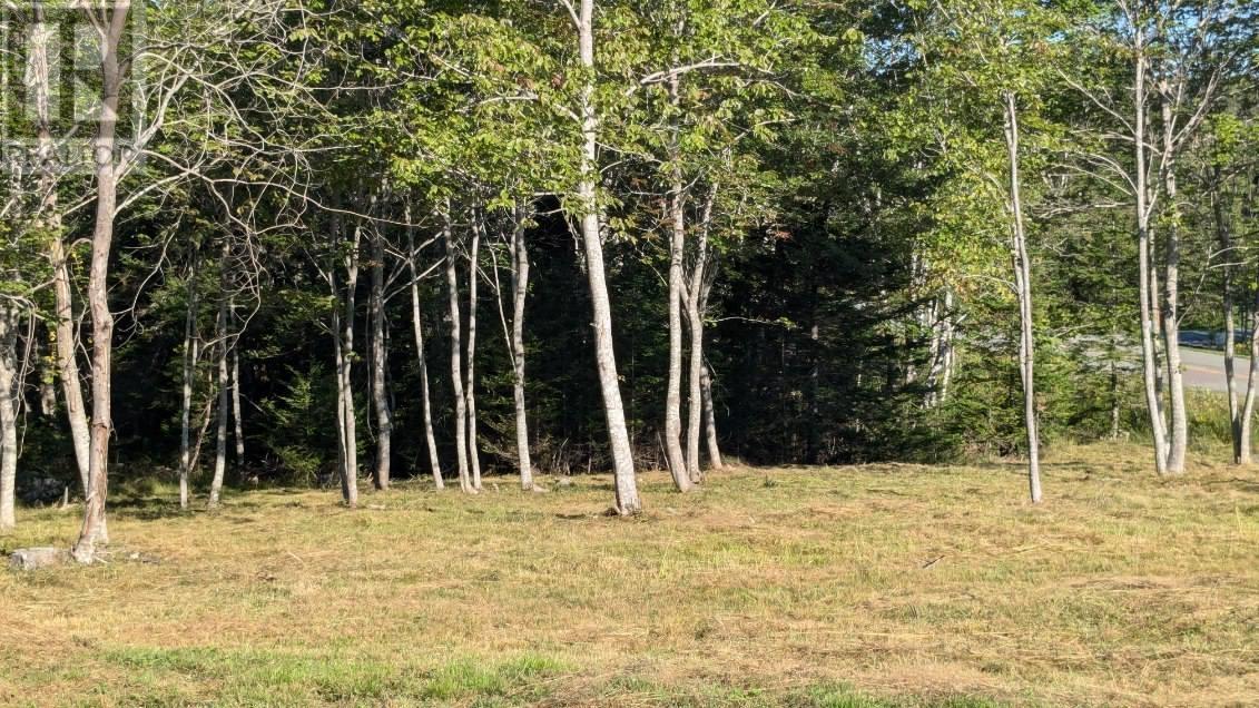 Lot 4 French Cove Road, French Cove, Nova Scotia  B0E 3B0 - Photo 7 - 202502713
