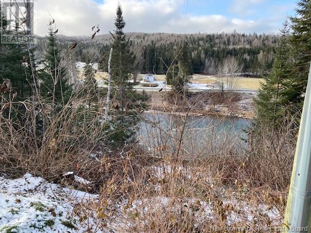 Camp Upsalquitch River Rd E/s Unit# Rd, Upsalquitch, New Brunswick  E3N 6L4 - Photo 3 - NB112909