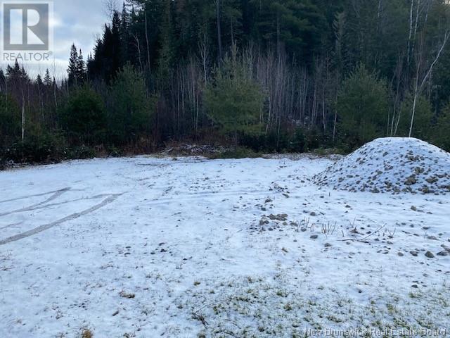 Camp Upsalquitch River Rd E/s Unit# Rd, Upsalquitch, New Brunswick  E3N 6L4 - Photo 6 - NB112909