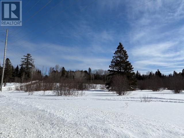 0 Old Muskoka To The East Side Of #1105 Road, Huntsville, Ontario  P0B 1M0 - Photo 7 - X11980955