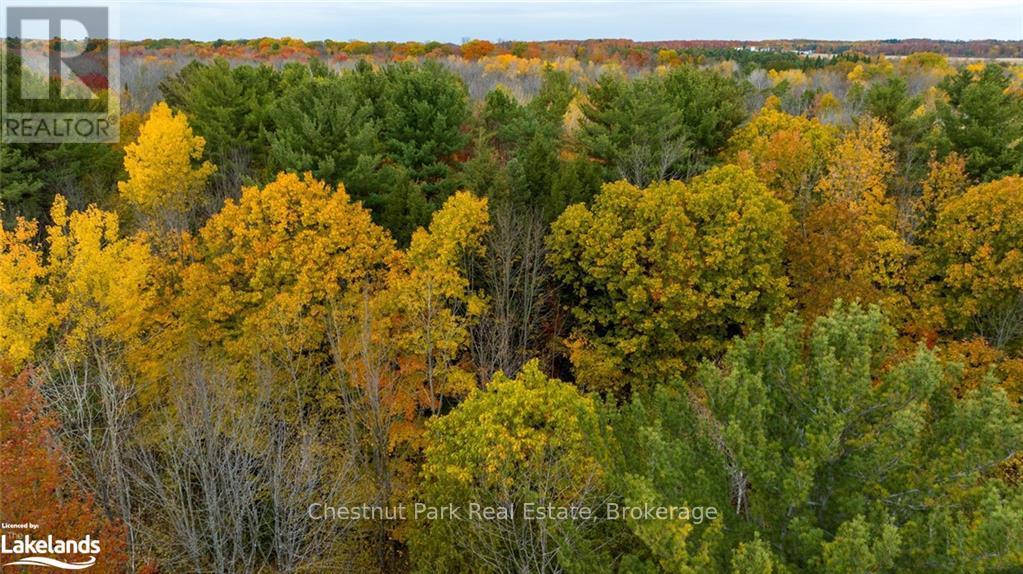 Part Lot 18 Concession Road 13 W, Tiny, Ontario  L0L 2J0 - Photo 12 - S10899064