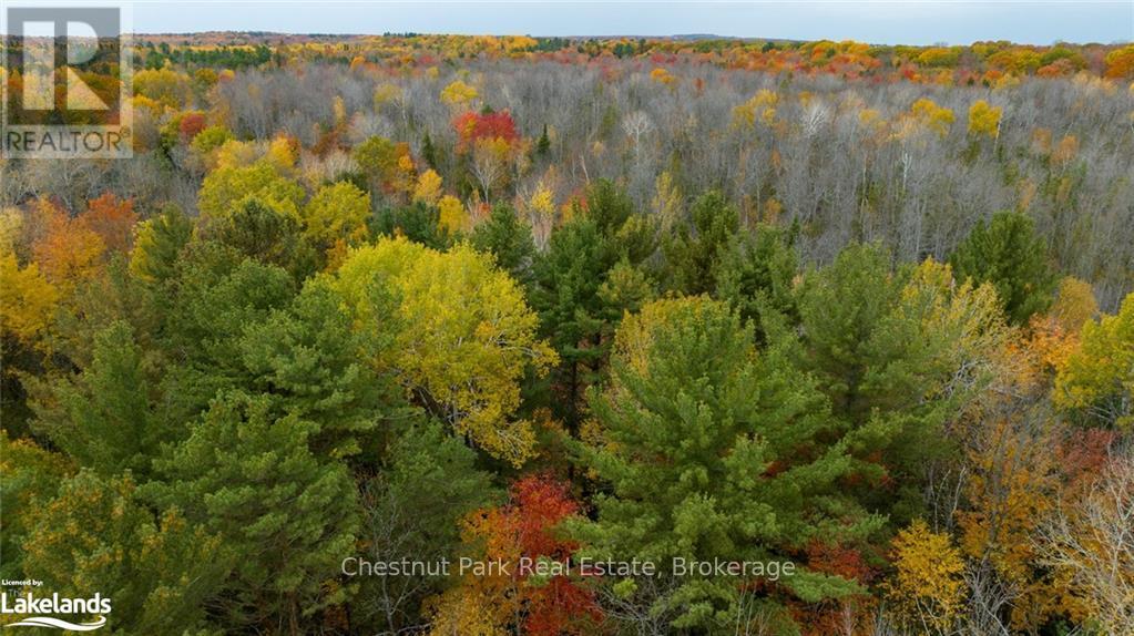 Part Lot 18 Concession Road 13 W, Tiny, Ontario L0L 2J0 - Photo 13 - S10899064