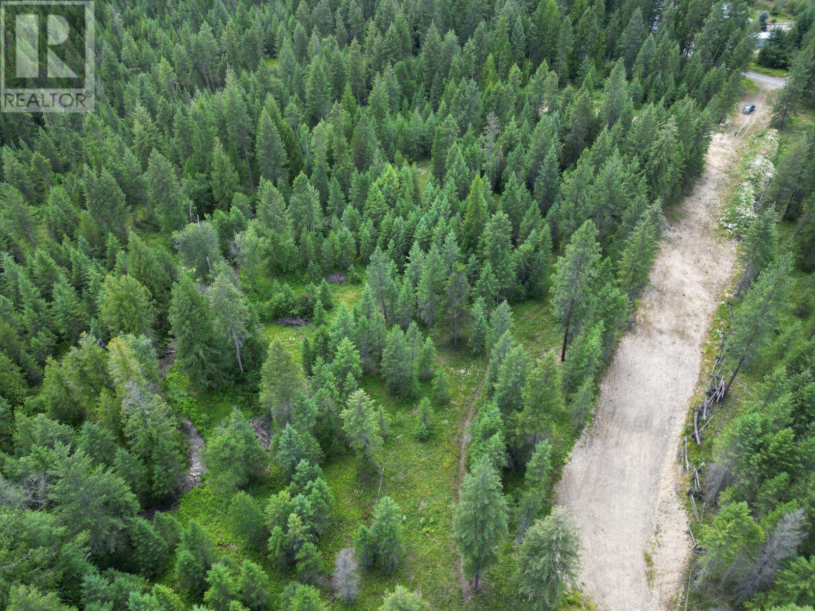 Lot 1 Thompson Road, Christina Lake, British Columbia  V0H 1E0 - Photo 5 - 10336088