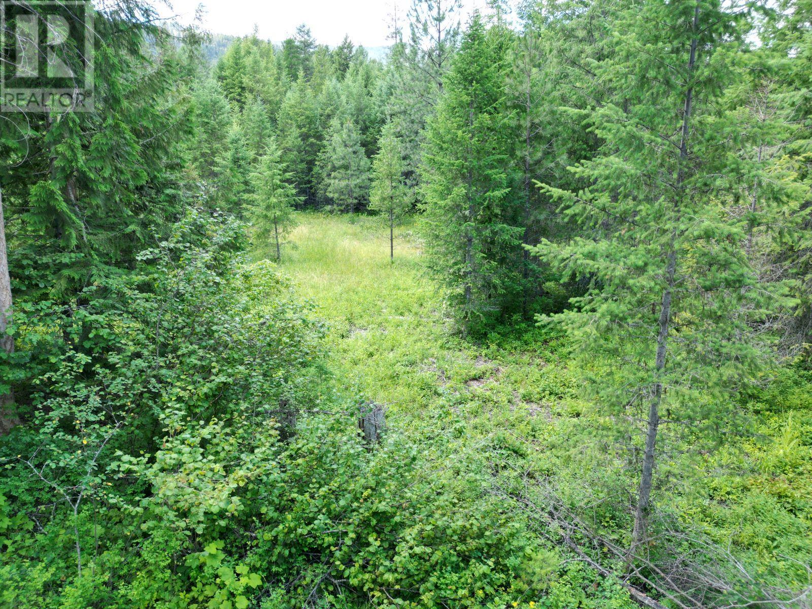 Lot 1 Thompson Road, Christina Lake, British Columbia  V0H 1E0 - Photo 7 - 10336088