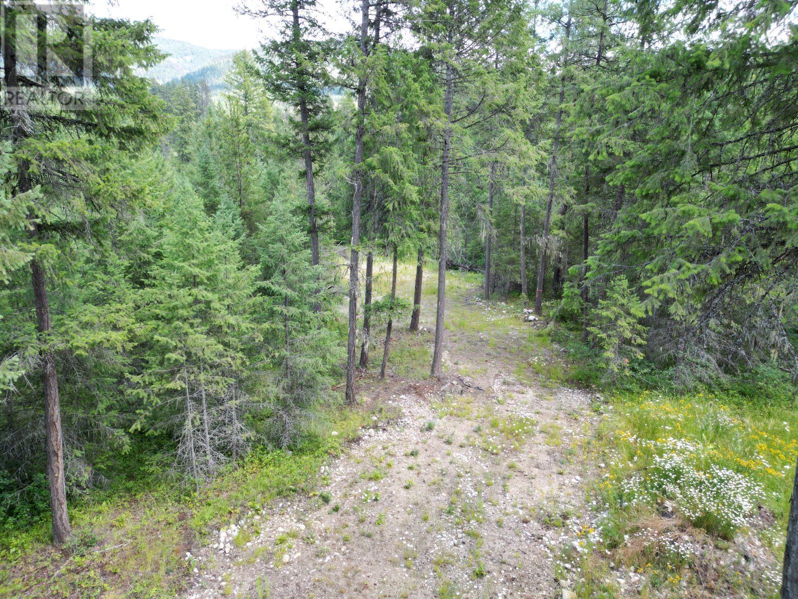 Lot 1 Thompson Road, Christina Lake, British Columbia  V0H 1E0 - Photo 9 - 10336088