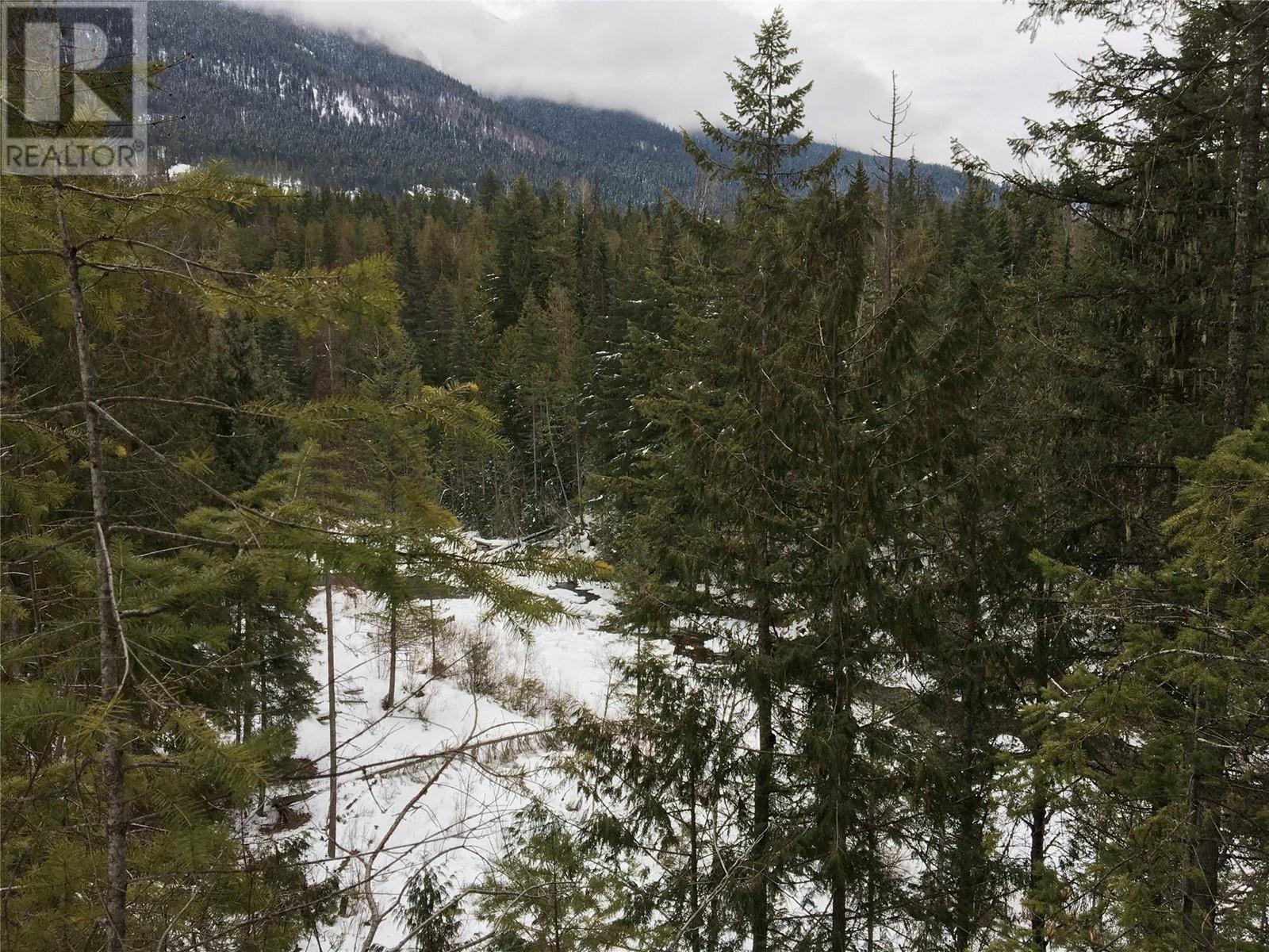 16300 Wadds Road, Crawford Bay, British Columbia  V0B 1E0 - Photo 11 - 10336092