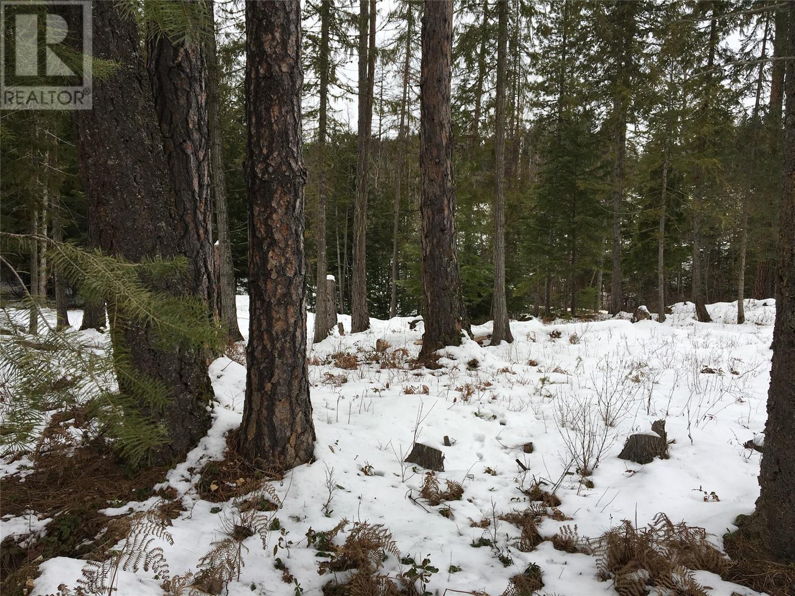 16300 Wadds Road, Crawford Bay, British Columbia  V0B 1E0 - Photo 12 - 10336092