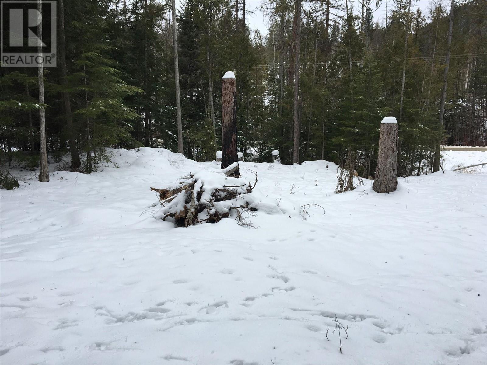 16300 Wadds Road, Crawford Bay, British Columbia  V0B 1E0 - Photo 14 - 10336092