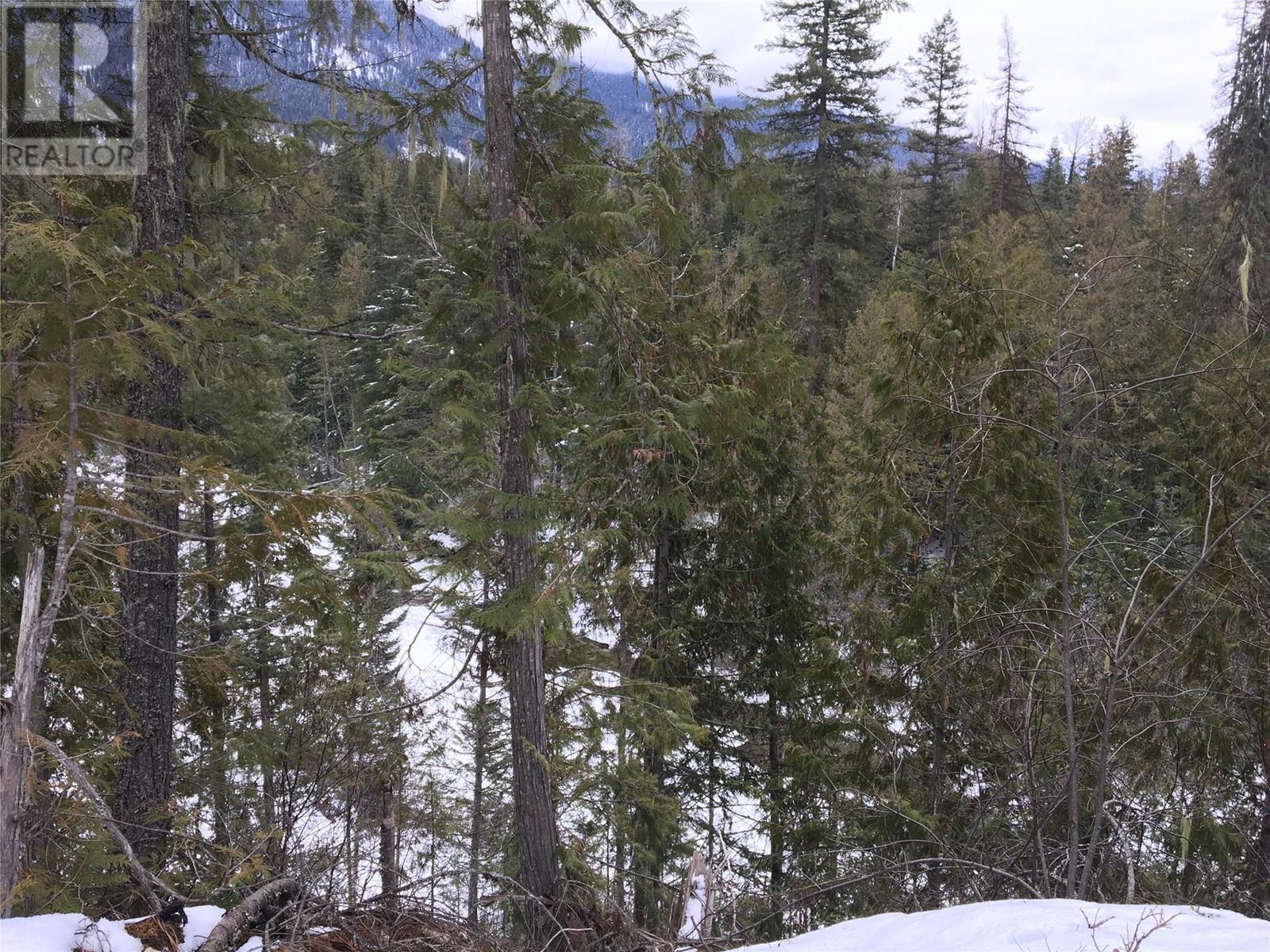 16300 Wadds Road, Crawford Bay, British Columbia  V0B 1E0 - Photo 15 - 10336092