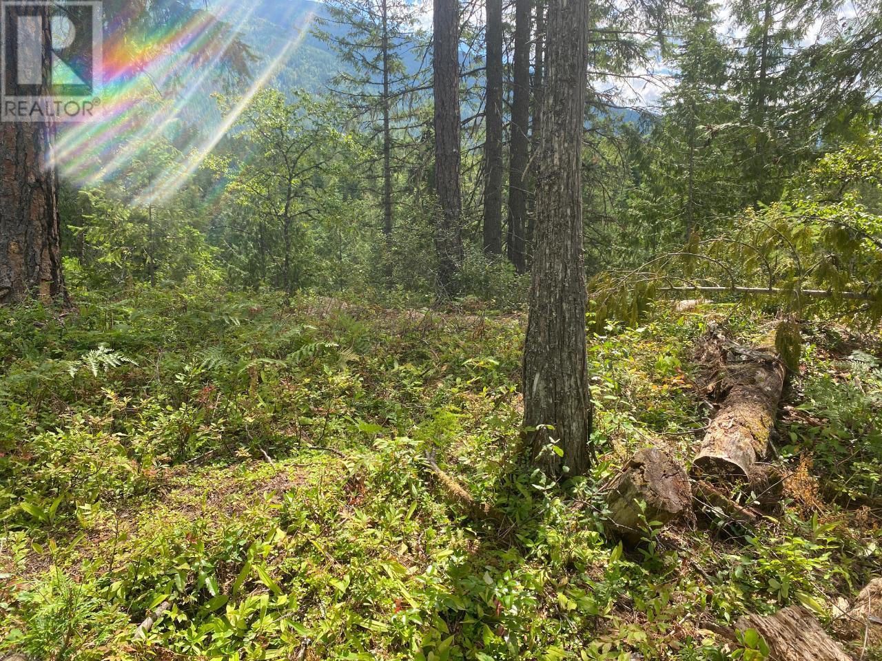 16300 Wadds Road, Crawford Bay, British Columbia  V0B 1E0 - Photo 3 - 10336092