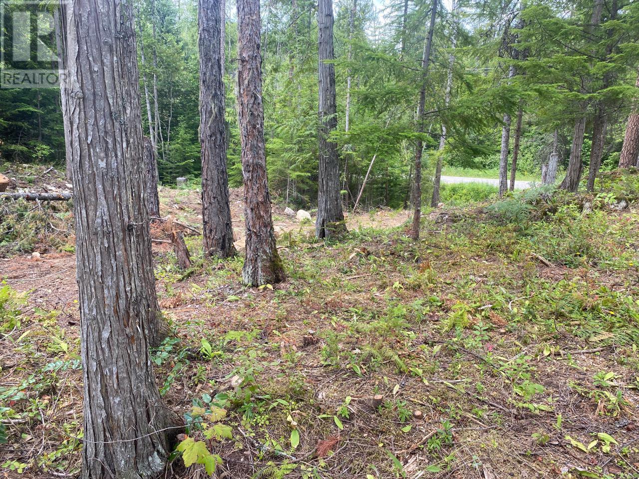 16300 Wadds Road, Crawford Bay, British Columbia  V0B 1E0 - Photo 4 - 10336092
