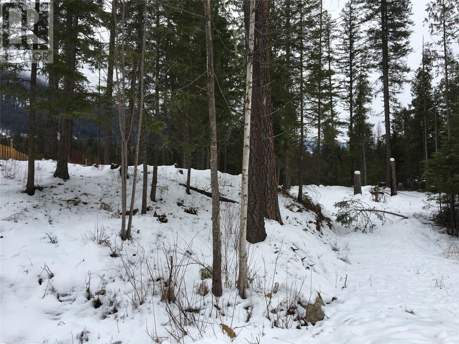 16300 Wadds Road, Crawford Bay, British Columbia  V0B 1E0 - Photo 7 - 10336092