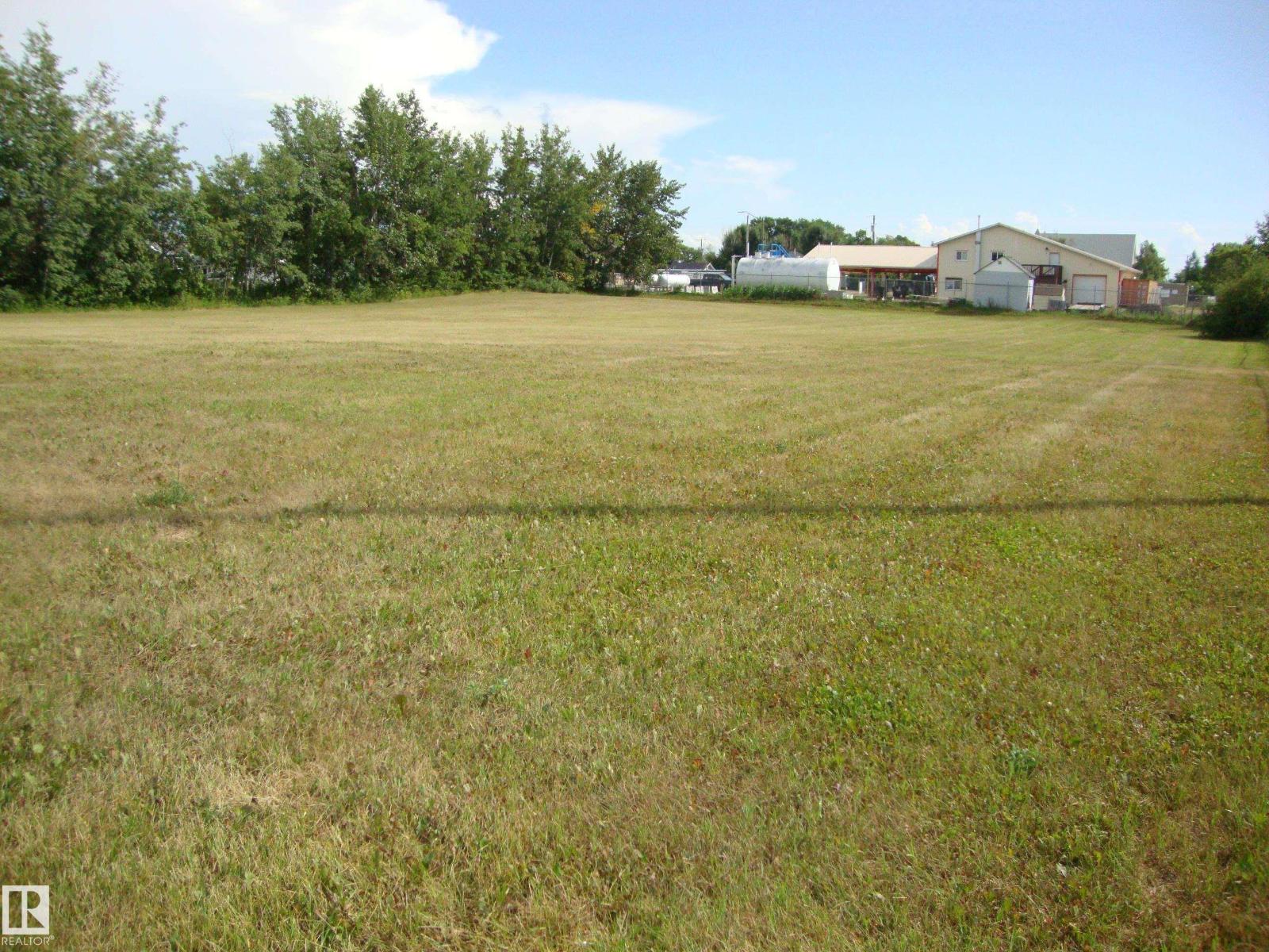 810 2nd St, Thorhild, Alberta  T0A 3J0 - Photo 2 - E4422255