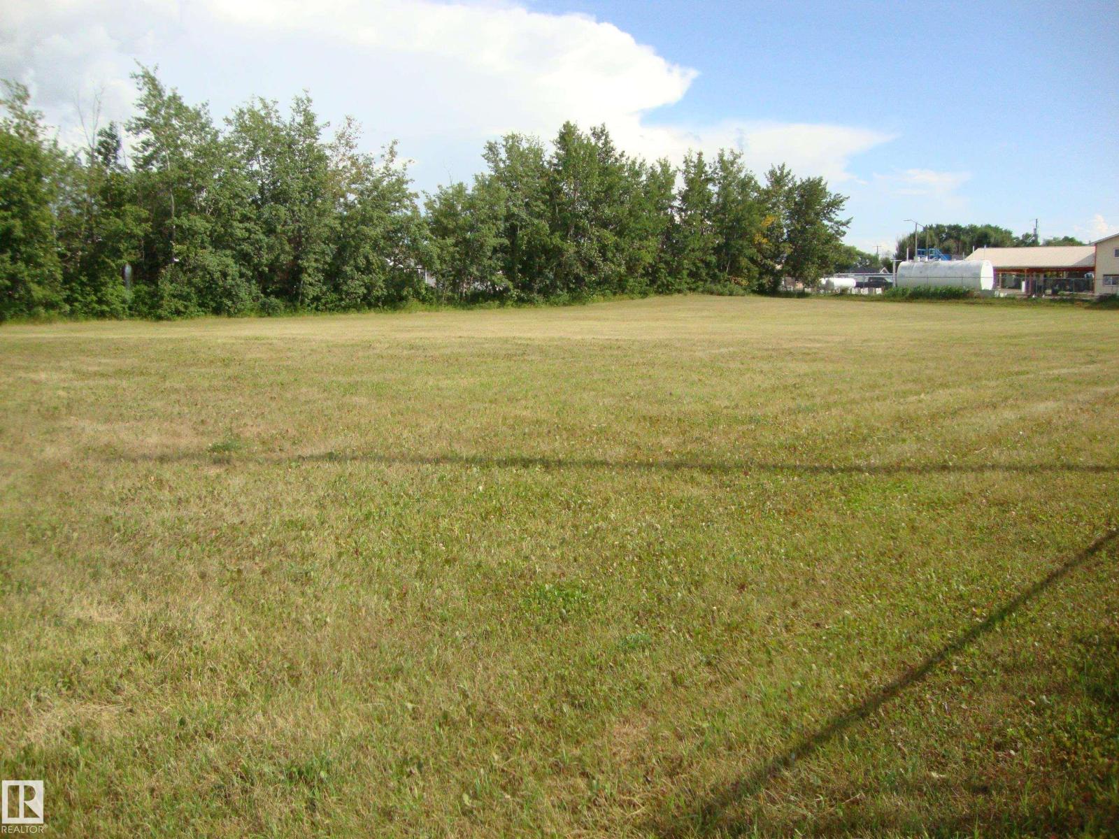 810 2nd St, Thorhild, Alberta  T0A 3J0 - Photo 3 - E4422255