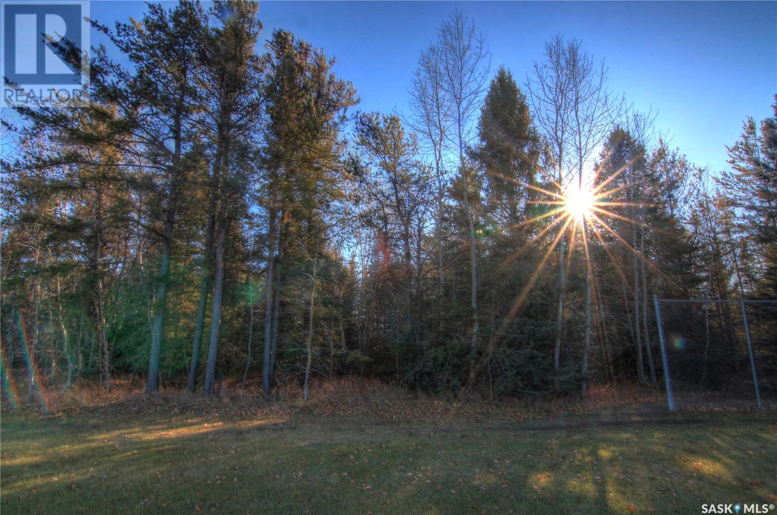 1 12th Avenue W, Nipawin, Saskatchewan  S0E 1E0 - Photo 8 - SK996295