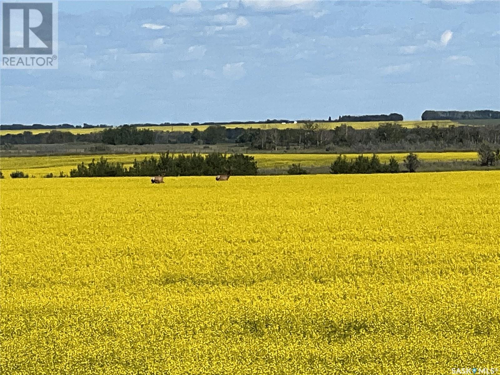 Dolezal Land, Blaine Lake Rm No. 434, Saskatchewan  S0J 0J0 - Photo 4 - SK996317